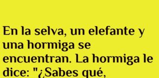 La Hormiga Aventurera y el Reto del Elefante