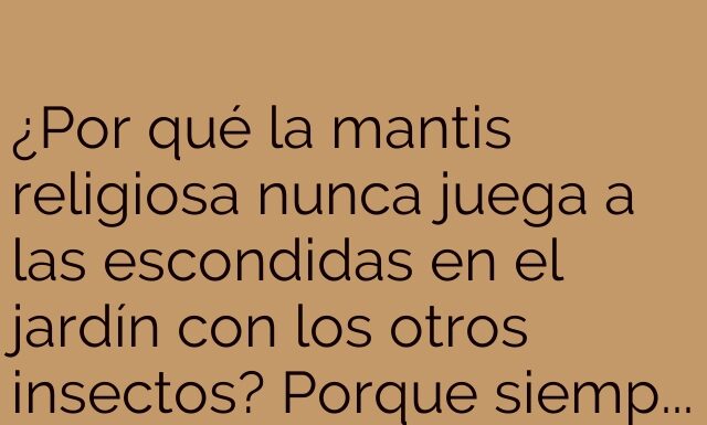 La Mantis y su Espiritual Escondite