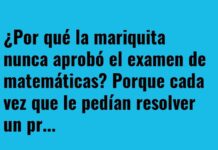 La mariquita matemática en huelga