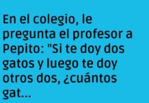 Los gatos de Pepito