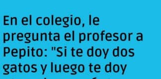 Los gatos de Pepito