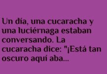 Luciérnaga olvidadiza y cucaracha a oscuras