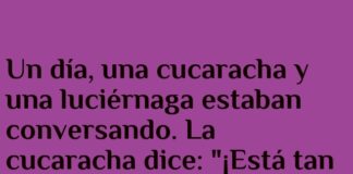 Luciérnaga olvidadiza y cucaracha a oscuras