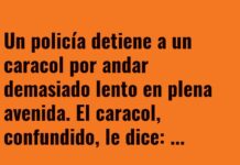 Multa por Ritmo de Caracol en la Avenida