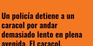 Multa por Ritmo de Caracol en la Avenida