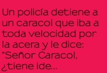 Operación Velocidad de Lechuga