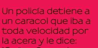 Operación Velocidad de Lechuga