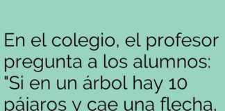 Percepciones Engañosas en el Aula