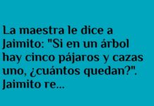 Perspectivas Diferentes