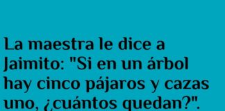 Perspectivas Diferentes