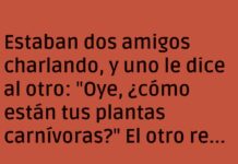 Plantas carnívoras hambrientas