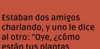 Plantas carnívoras hambrientas