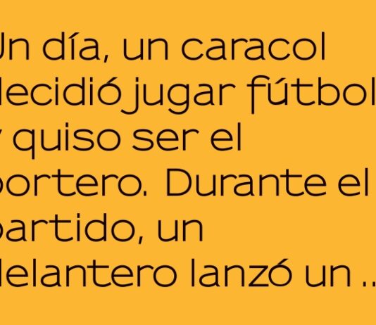 Reflejos de caracol en la cancha