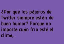 Trinos sin Límites y Buen Humor Asegurado