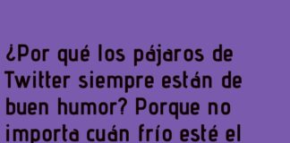 Trinos sin Límites y Buen Humor Asegurado