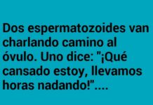«Un Largo Camino al Óvulo»