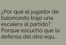«Un Rebote Hacia las Alturas»