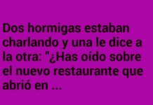 Un restaurante con telarañas de sorpresa