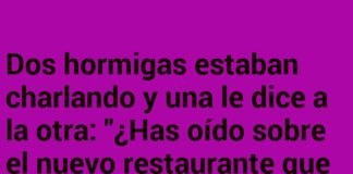 Un restaurante con telarañas de sorpresa