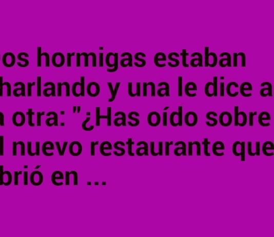Un restaurante con telarañas de sorpresa