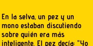 Una conexión muy inteligente en la selva