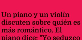 Una sinfonía de amor y calcetines perdidos