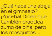 Abeja Fit en el Gimnasio