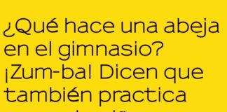 Abeja Fit en el Gimnasio