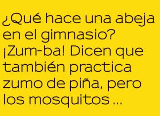 Abeja Fit en el Gimnasio