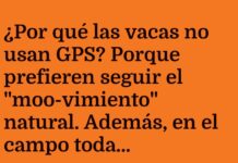 «Aventuras Rurales: ¿Dónde está el GPS para vacas?»
