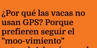 «Aventuras Rurales: ¿Dónde está el GPS para vacas?»