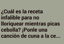 Canción de cuna para cebollas lloronas