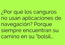 Canguros y el GPS de bolsillo