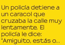 «Caracol a toda velocidad, pero sin turbo»