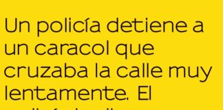 «Caracol a toda velocidad, pero sin turbo»