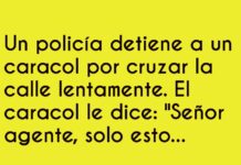 «Caracol infractor: ¡Multa por exceso de lentitud!»