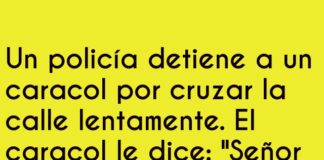 «Caracol infractor: ¡Multa por exceso de lentitud!»