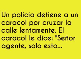 «Caracol infractor: ¡Multa por exceso de lentitud!»