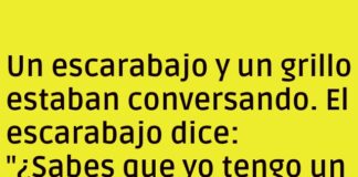 Carnet de Antenas y Vehículos del Club Insecto
