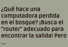 Ciberaventura en el Bosque: La Búsqueda del Router Perdido