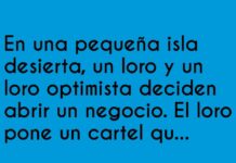 Cocos e ideas: éxito asegurado en la isla.