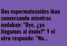 «Desorientación Espermática»