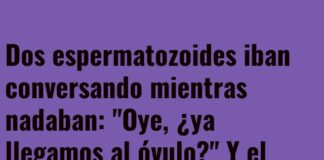 «Desorientación Espermática»