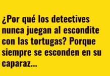 Detectives y Tortugas: Caso de Caparazón Perdido