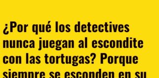 Detectives y Tortugas: Caso de Caparazón Perdido