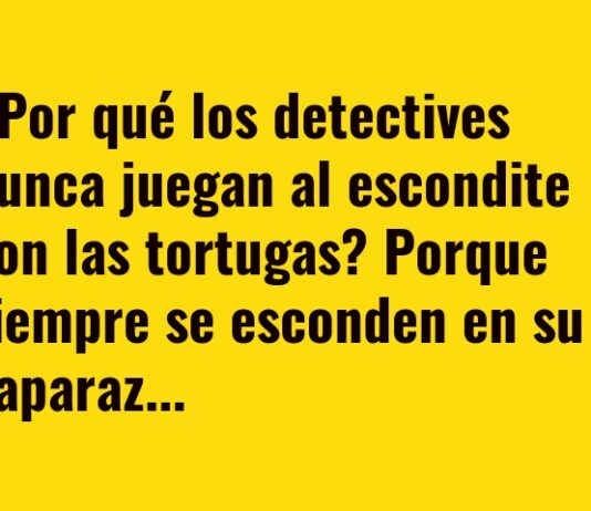 Detectives y Tortugas: Caso de Caparazón Perdido