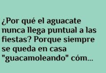 El Aguacate Impuntual y su Dilema Guacamoleando