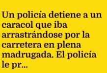 El Caracol Ferrari en Apuros