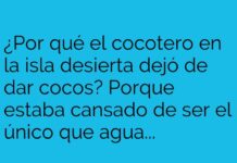 El cocotero agotado del náufrago inventor