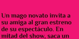 El conejo despistado del mago novato